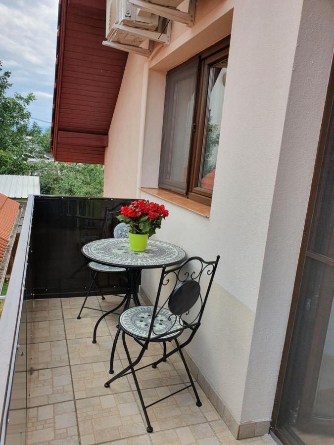 Smiley Flowers Sibiu Exterior photo